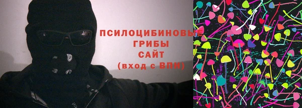 spice Белокуриха