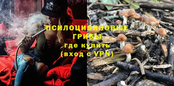 spice Белокуриха
