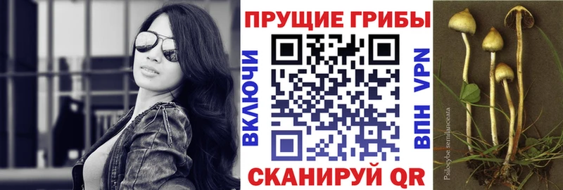 Псилоцибиновые грибы ЛСД  blacksprut зеркало  Симферополь  где найти  